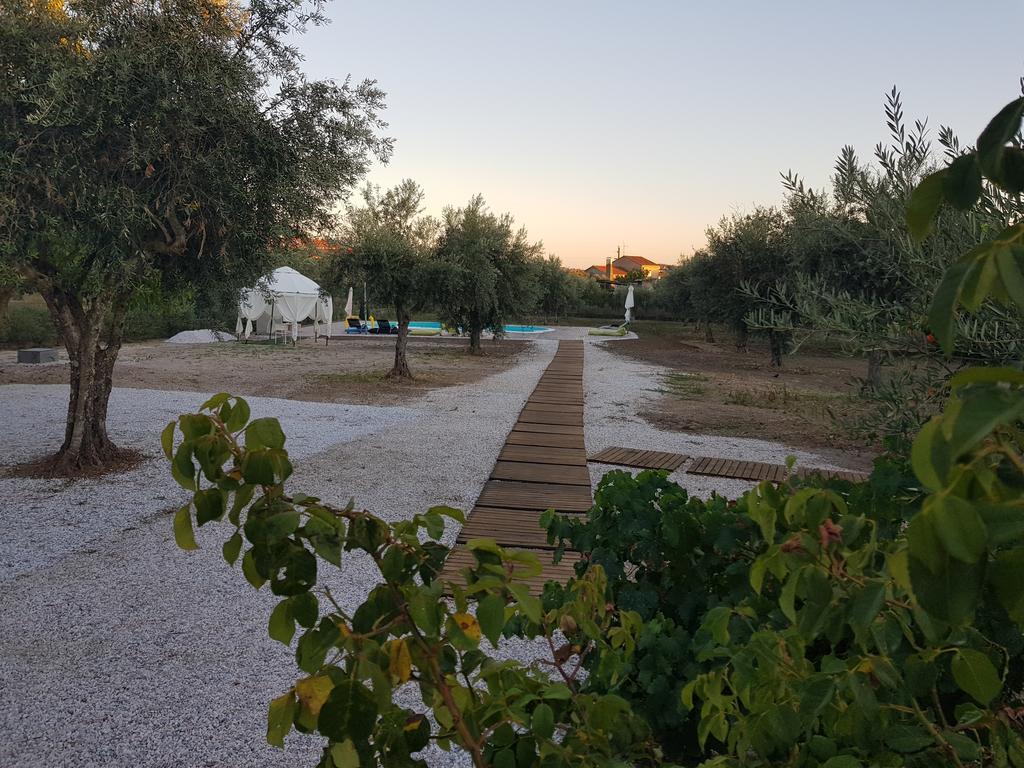 Oliveira Country House Figueira e Barros Exterior photo